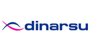 dinarsu halı